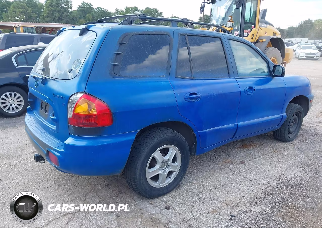 2004 Hyundai Santa Fe Gls VIN:KM8SC13D44U696506 - 4