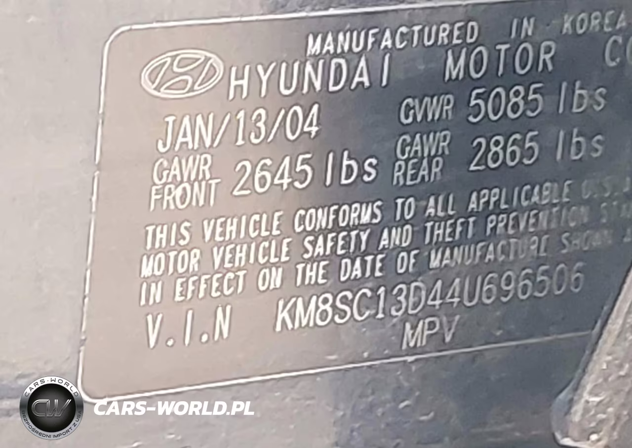 2004 Hyundai Santa Fe Gls VIN:KM8SC13D44U696506 - 9