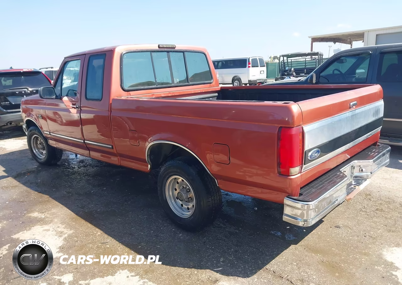 1995 Ford F150 VIN:1FTEX15N5SKB00016 - 3