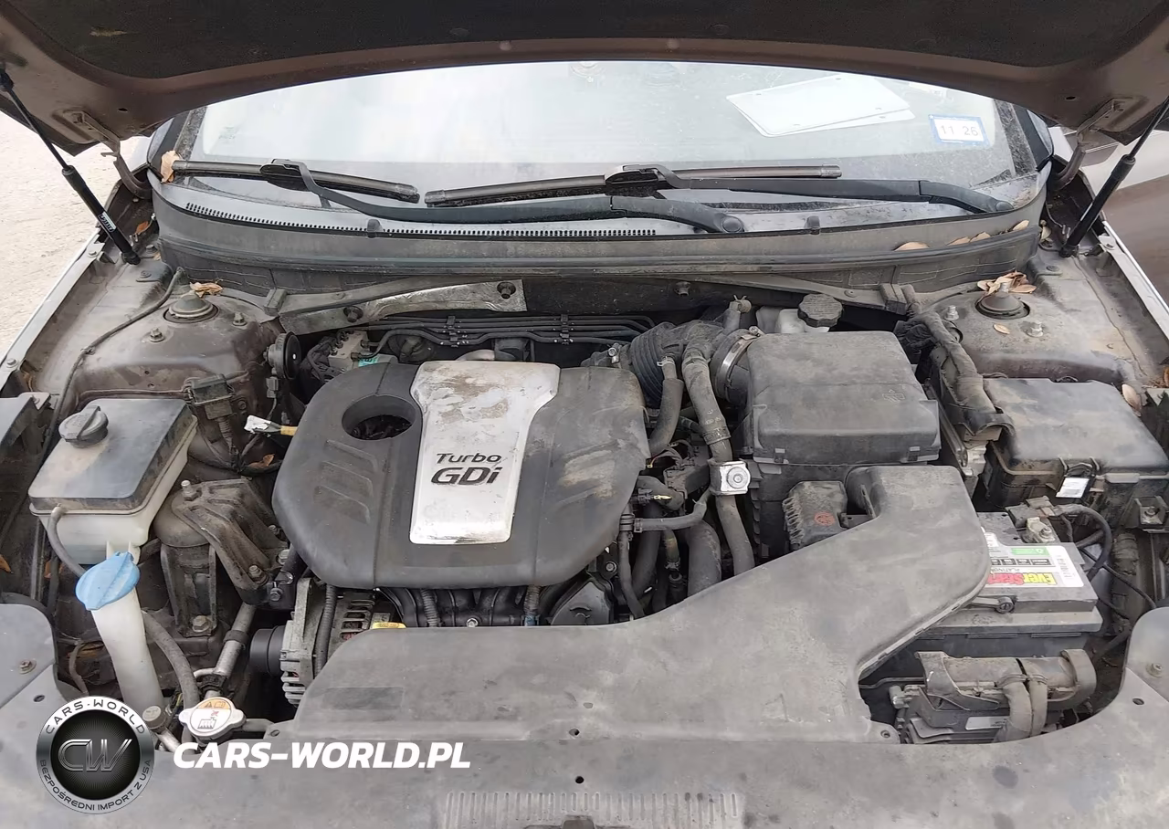 2015 Hyundai Sonata Eco VIN:5NPE24AA0FH148711 - 10