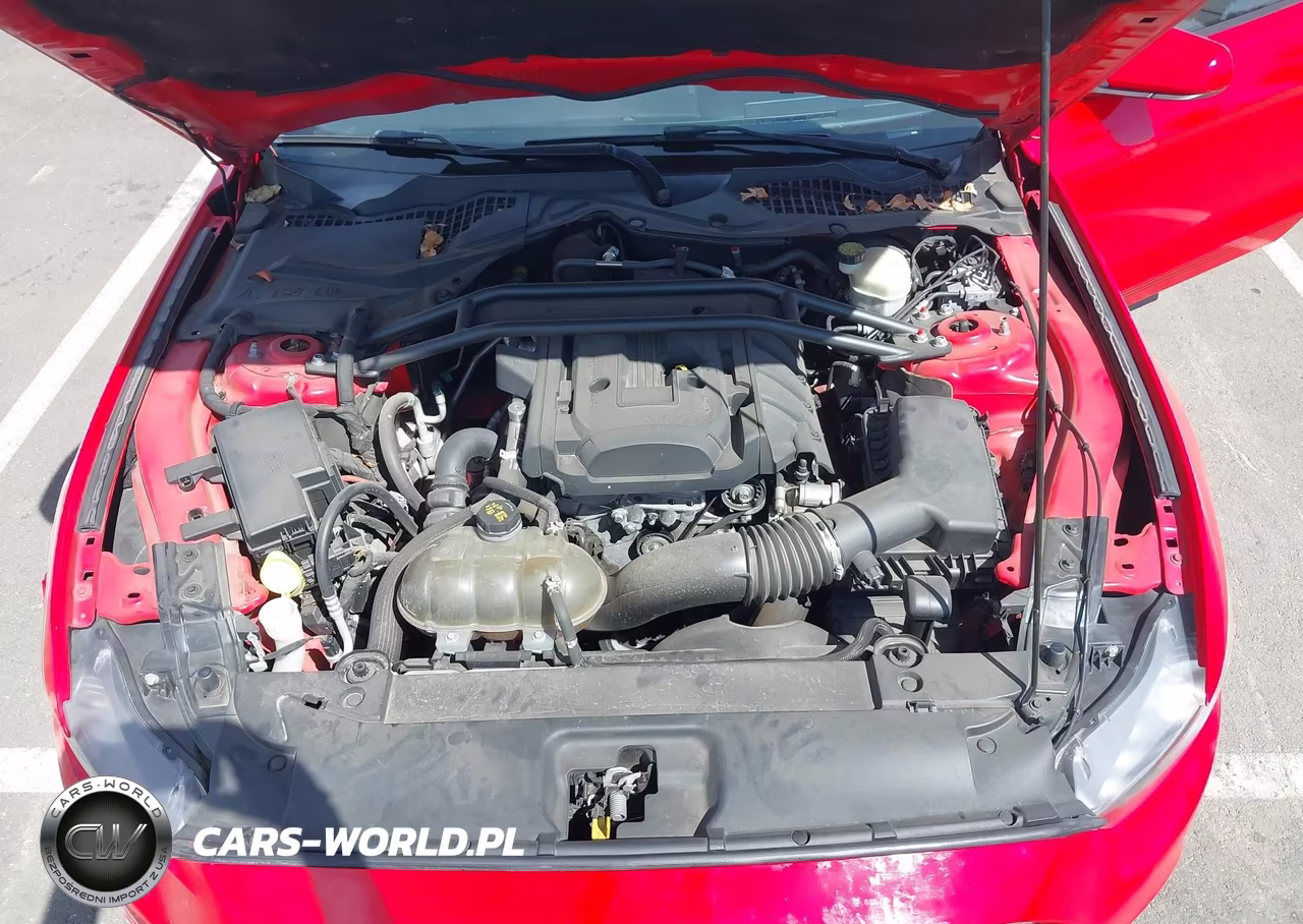 2016 Ford Mustang Ecoboost VIN:1FA6P8TH0G5290605 - 10