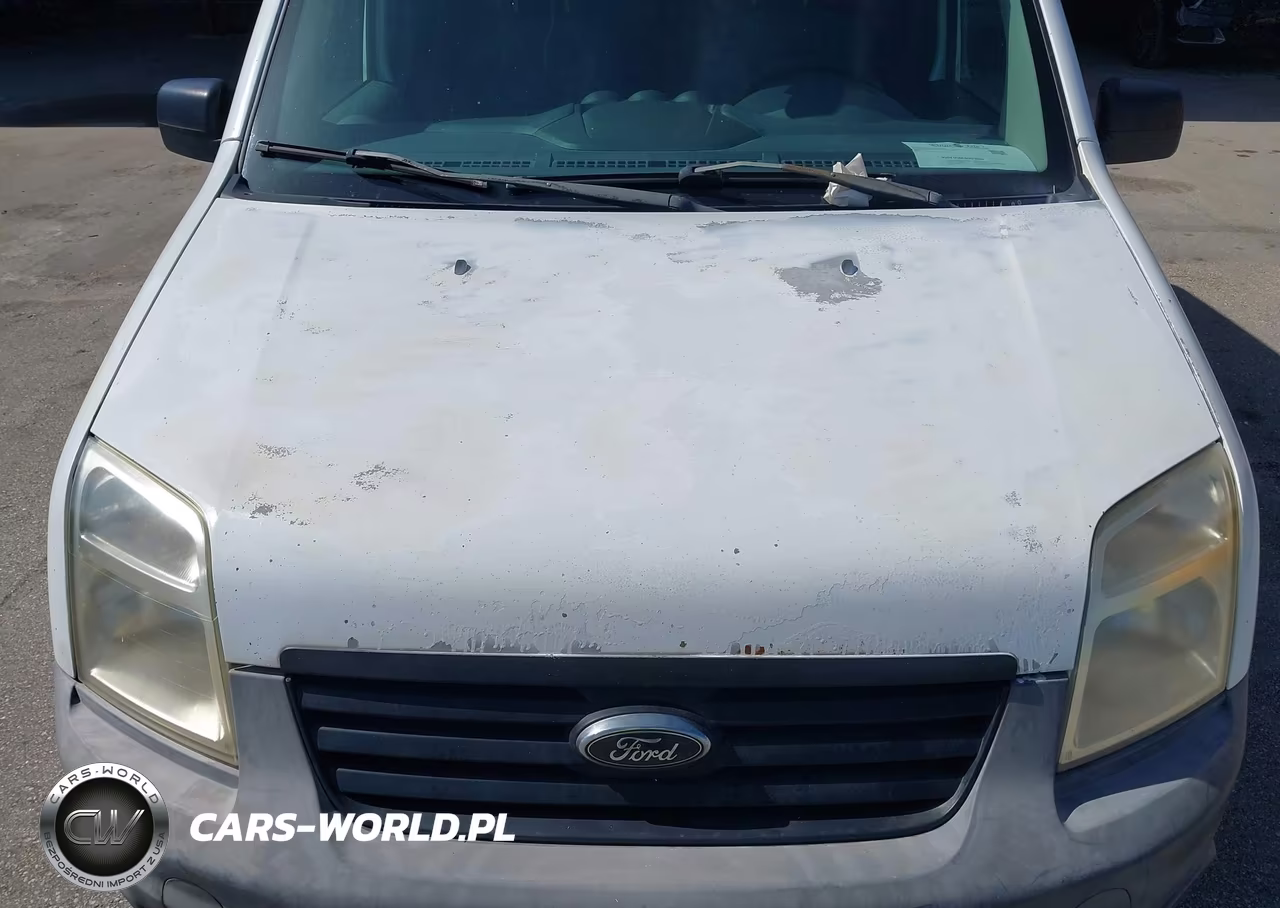 2013 Ford Transit Connect Xl VIN:NM0LS7AN9DT133092 - 10