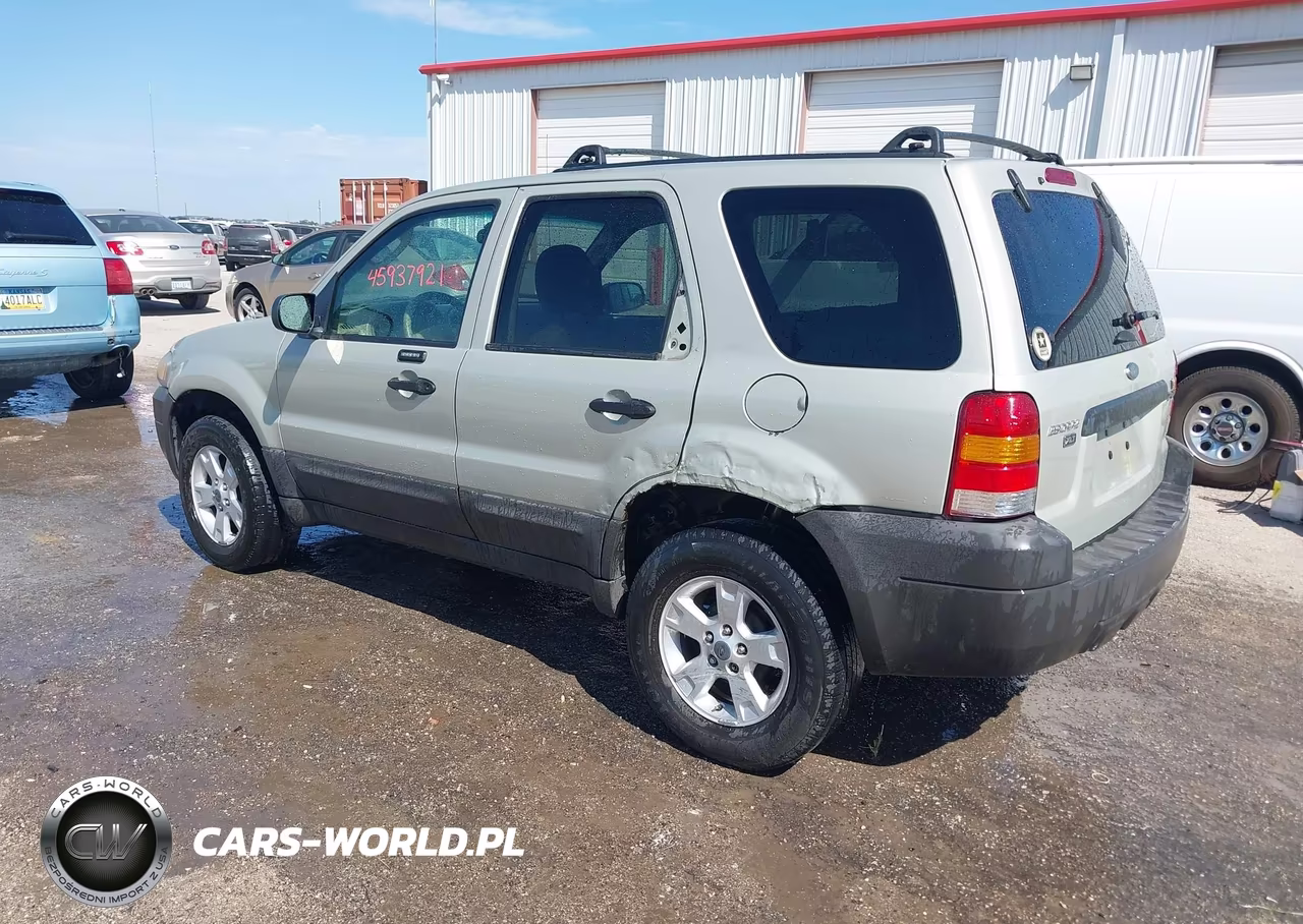 2006 Ford Escape Xlt-Xlt Sport VIN:1FMCU031X6KA78607 - 3