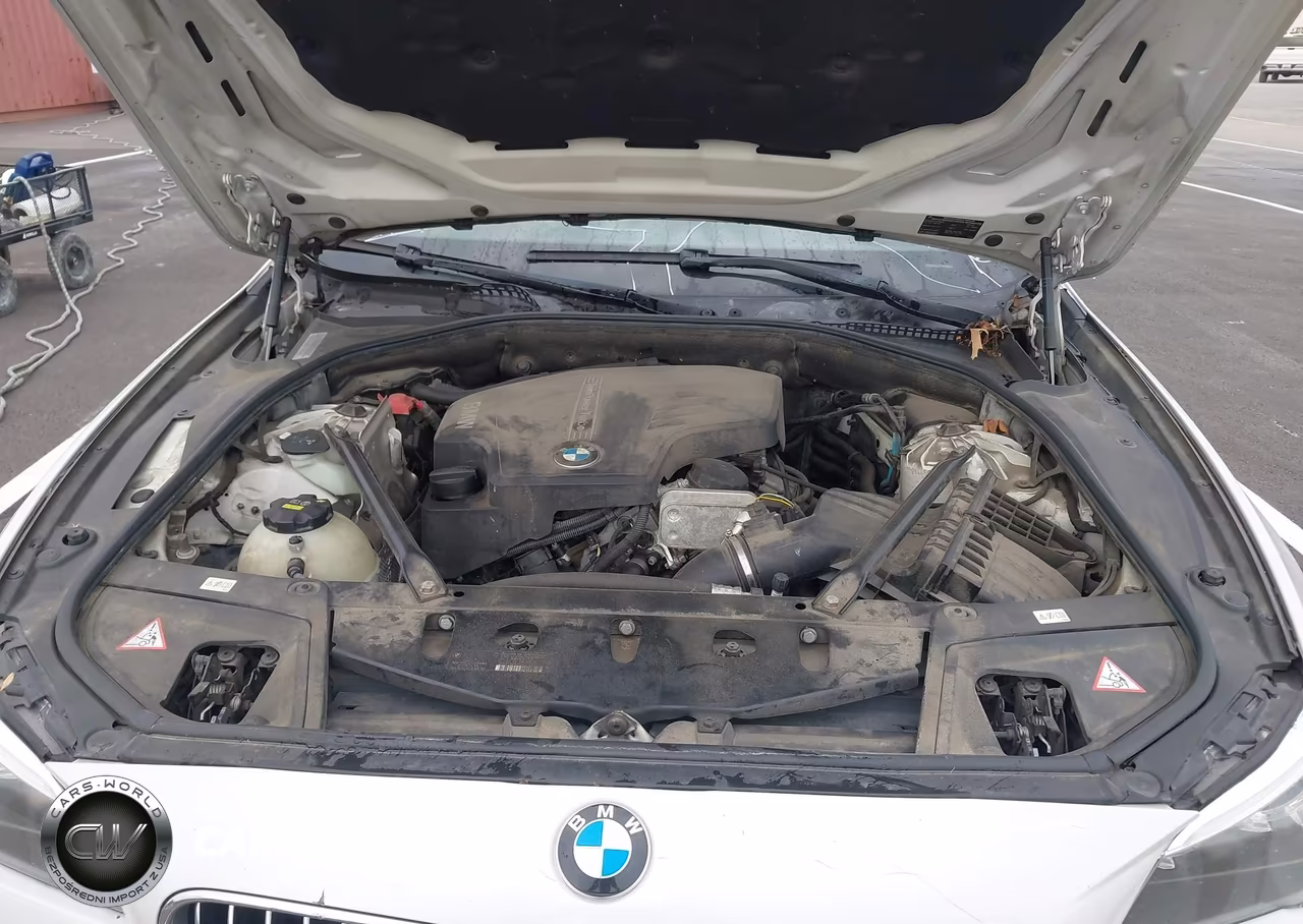 2015 BMW 528I VIN:WBA5A5C58FD516161 - 10