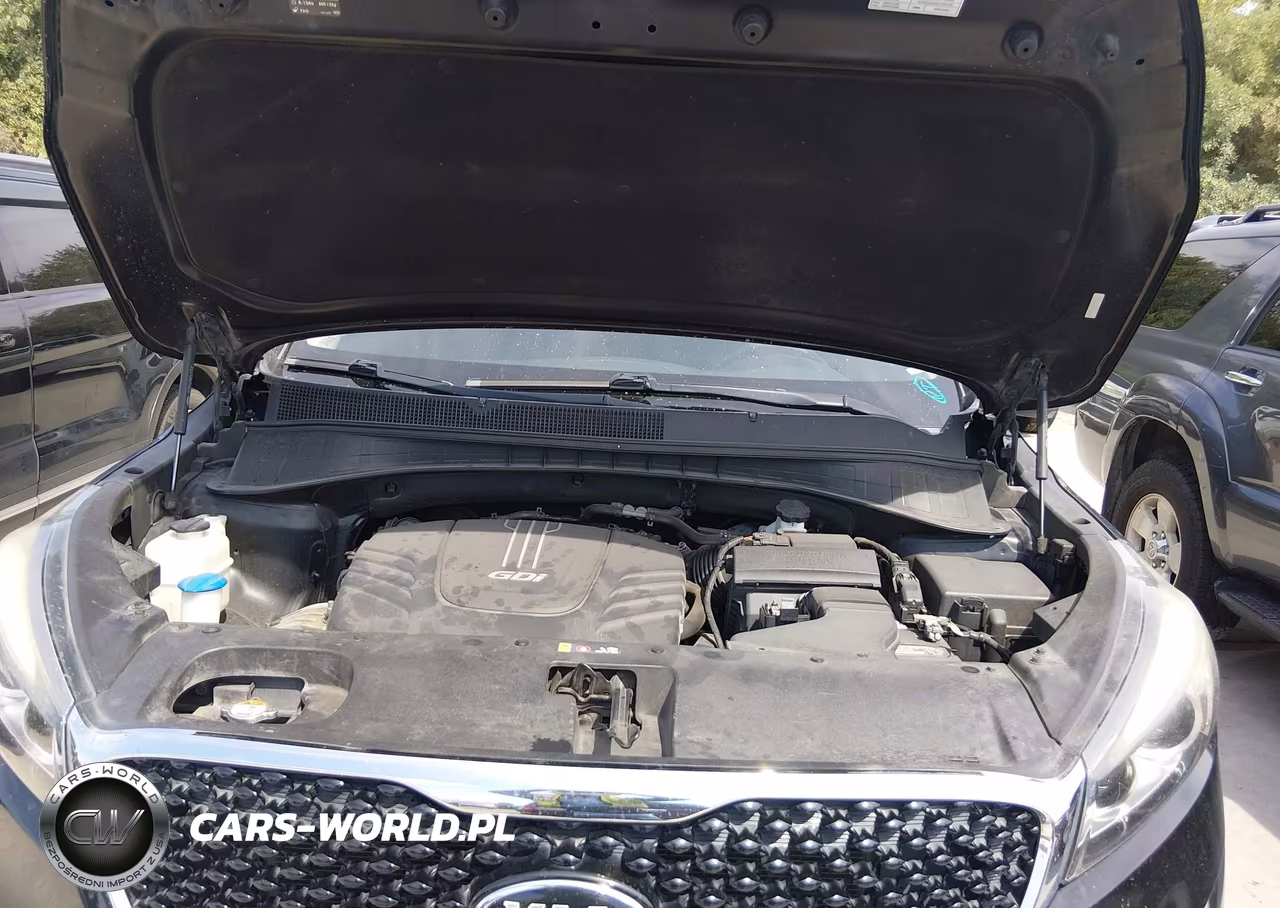 2017 Kia Sorento 3.3L Ex VIN:5XYPH4A59HG252876 - 10