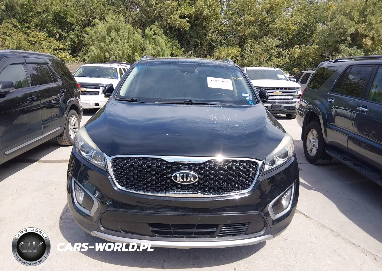 2017 Kia Sorento 3.3L Ex VIN:5XYPH4A59HG252876 - 12
