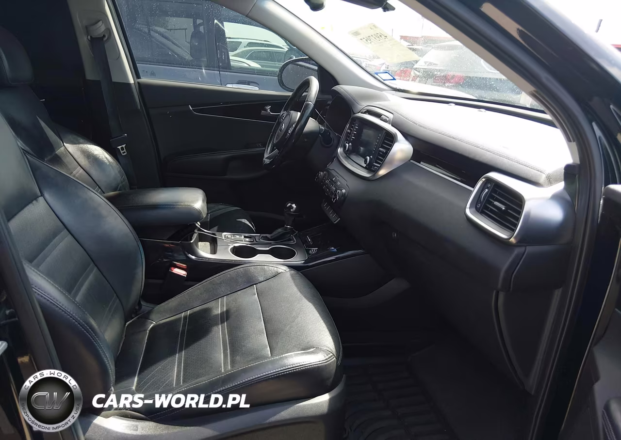 2017 Kia Sorento 3.3L Ex VIN:5XYPH4A59HG252876 - 5