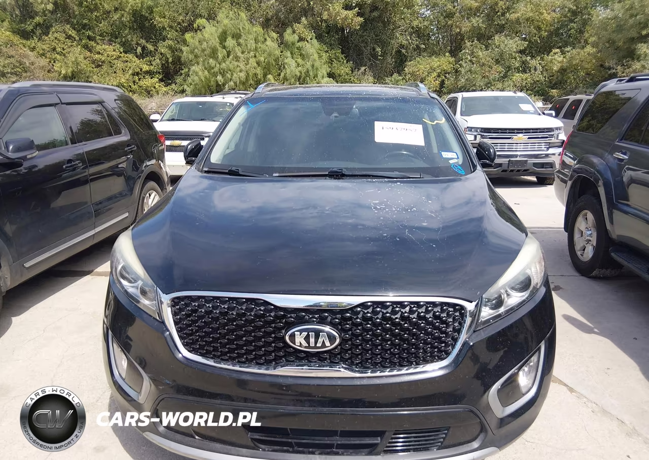 2017 Kia Sorento 3.3L Ex VIN:5XYPH4A59HG252876 - 6