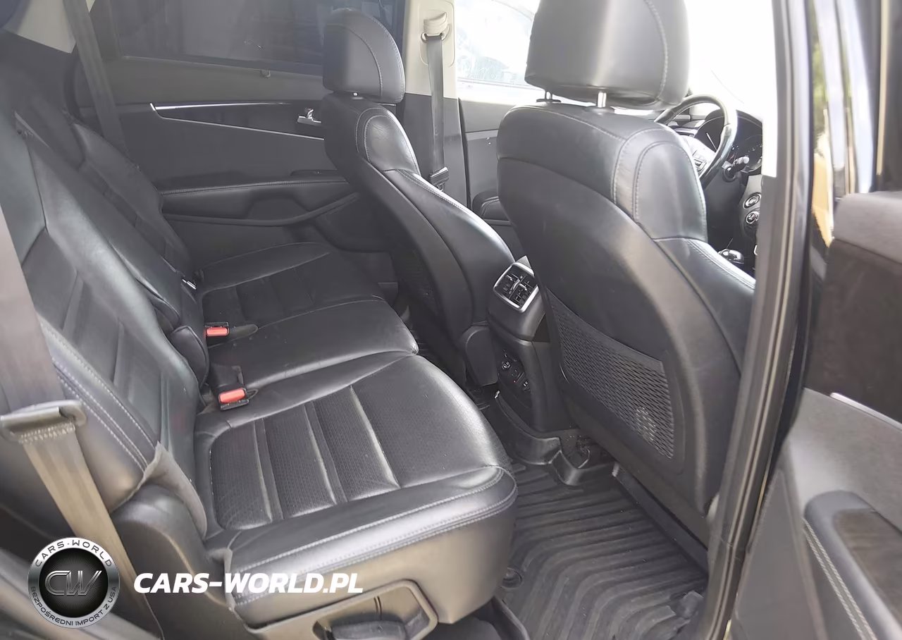 2017 Kia Sorento 3.3L Ex VIN:5XYPH4A59HG252876 - 8