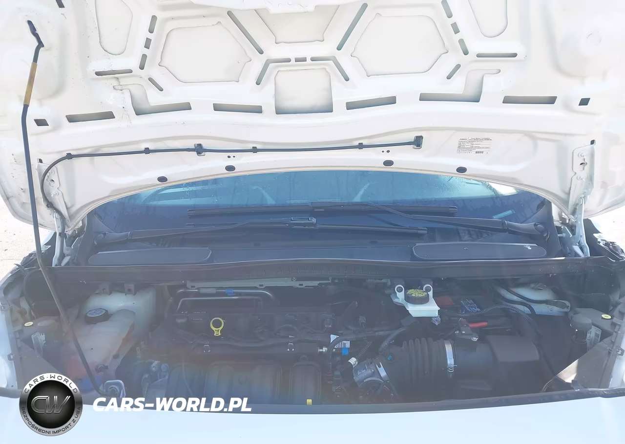 2014 Ford Transit Connect Xl VIN:NM0LS7E79E1171933 - 10