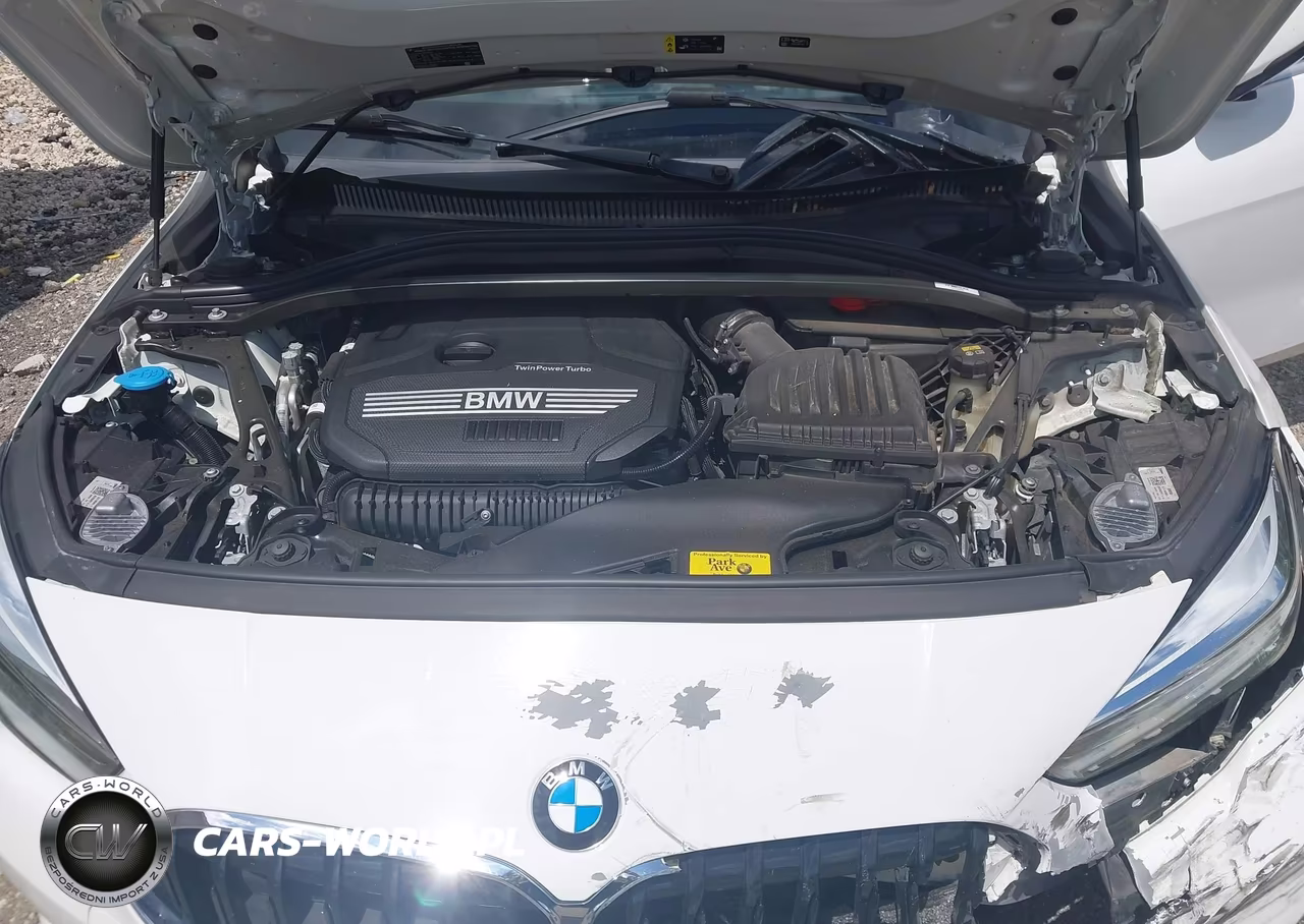 2021 BMW 228I Gran Coupe xDrive VIN:WBA73AK03M7J03416 - 10