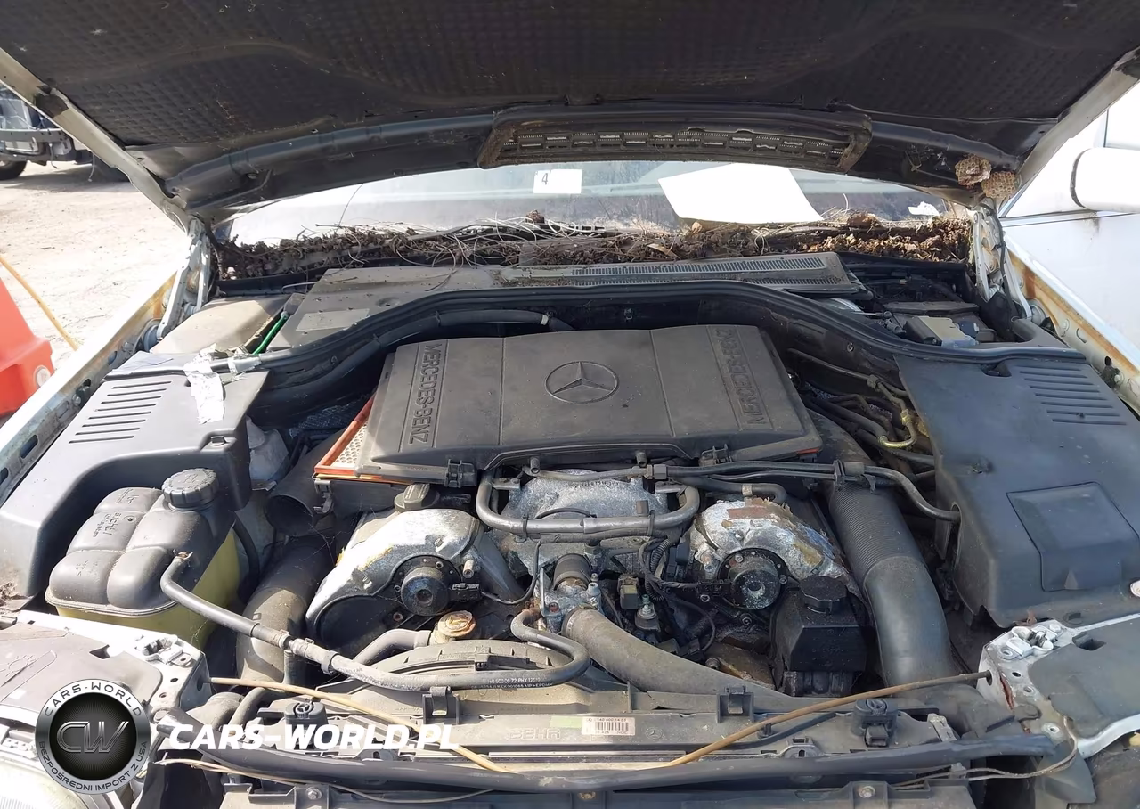 1997 Mercedes-Benz S 420 VIN:WDBGA43G1VA341905 - 10
