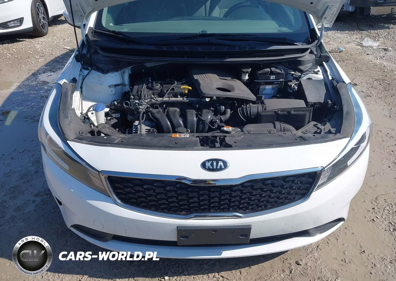 2017 Kia Forte Lx VIN:3KPFK4A73HE021659 - 10