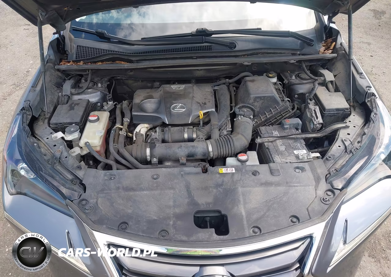 2015 Lexus Nx 200T VIN:JTJBARBZ7F2042164 - 10
