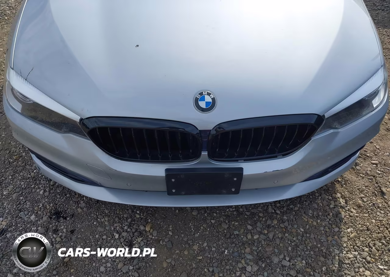 2019 BMW 5 Series 530I xDrive VIN:WBAJA7C54KWW07372 - 6