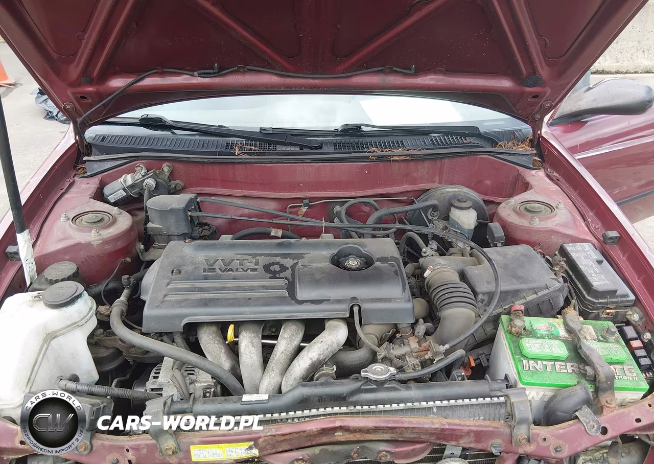 2000 Toyota Corolla Ce VIN:1NXBR12E6YZ340654 - 10