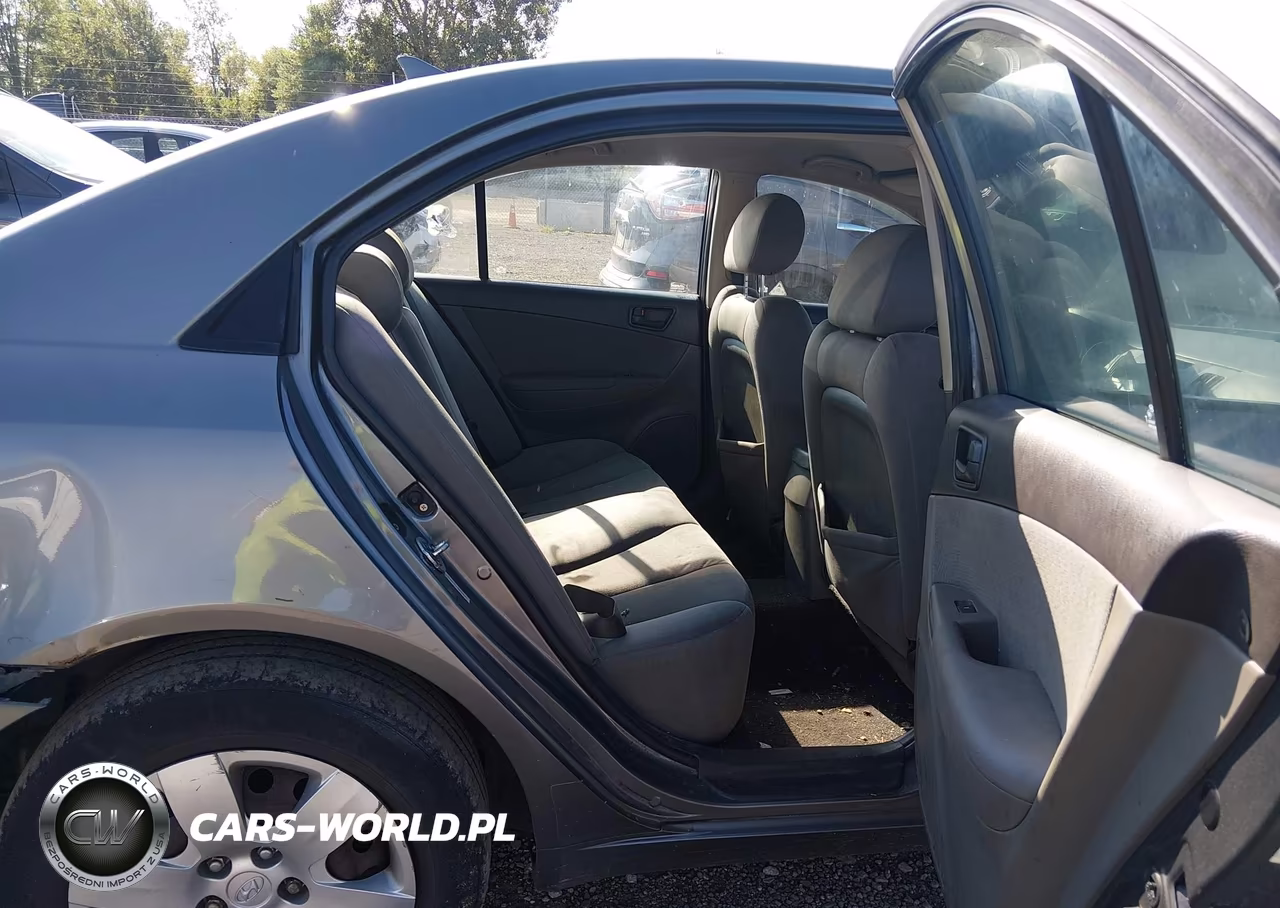 2010 Hyundai Sonata Gls VIN:5NPET4AC3AH576036 - 8