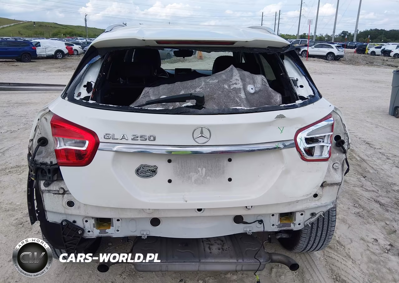 2016 Mercedes-Benz Gla 250 VIN:WDCTG4EBXGJ203132 - 17