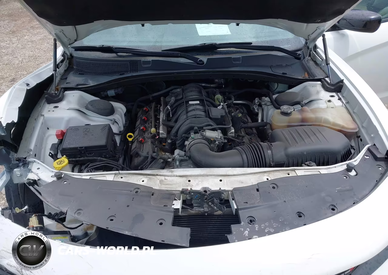 2019 Dodge Charger R-T Rwd VIN:2C3CDXCT3KH568455 - 10