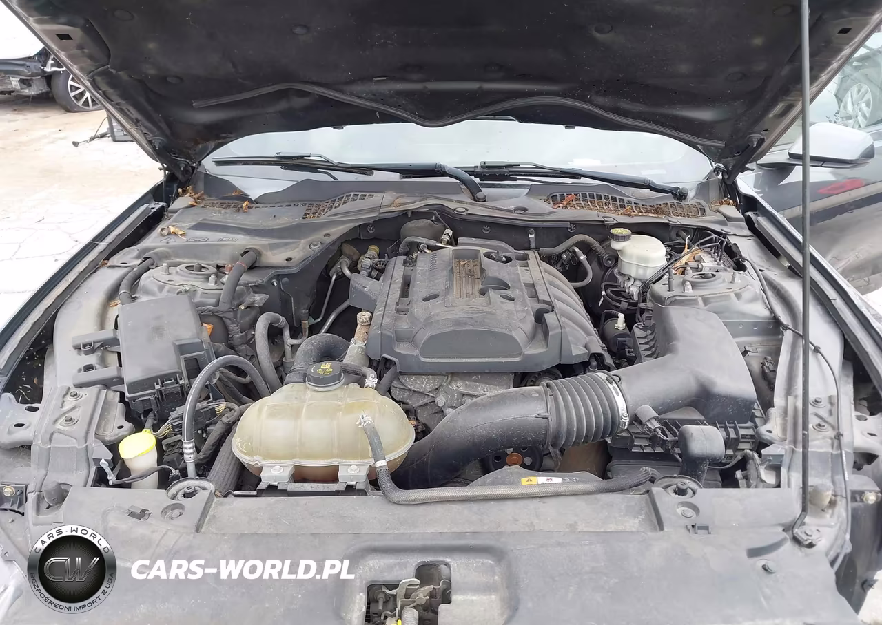 2016 Ford Mustang Ecoboost VIN:1FA6P8THXG5229312 - 10