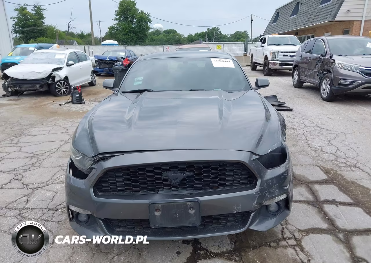 2016 Ford Mustang Ecoboost VIN:1FA6P8THXG5229312 - 12