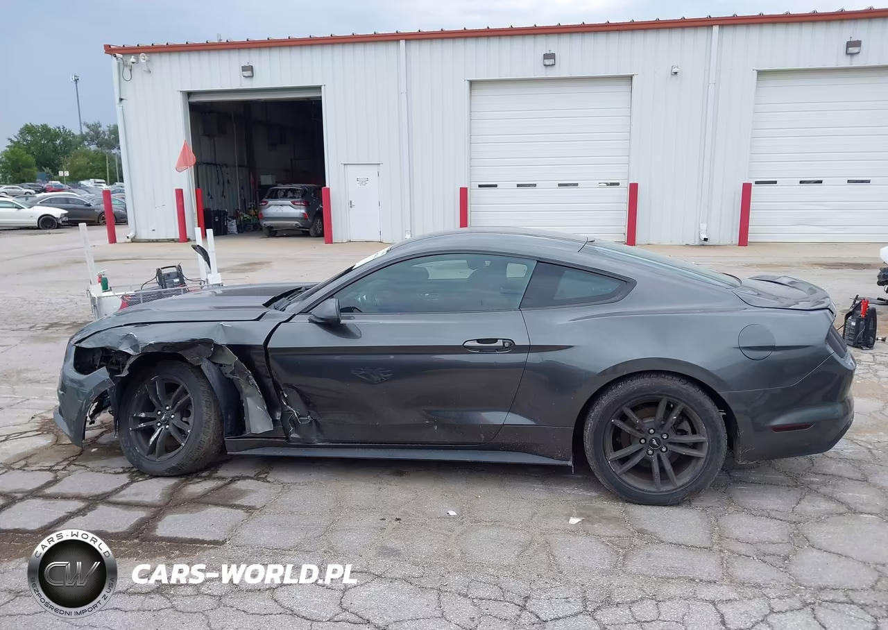 2016 Ford Mustang Ecoboost VIN:1FA6P8THXG5229312 - 14