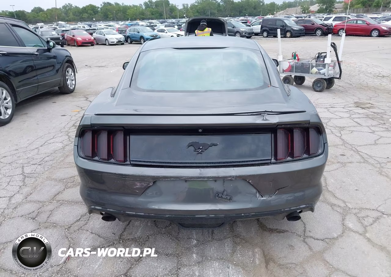 2016 Ford Mustang Ecoboost VIN:1FA6P8THXG5229312 - 16