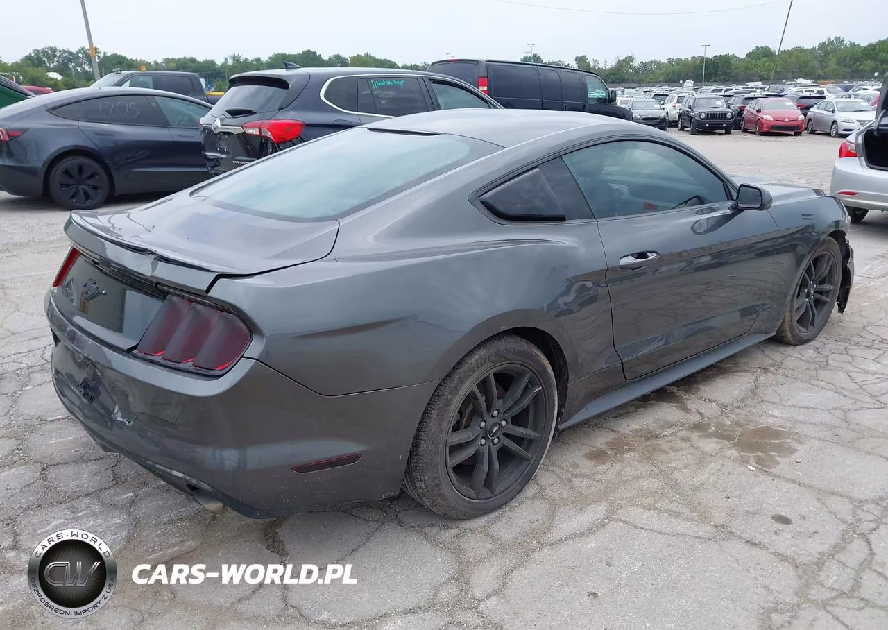 2016 Ford Mustang Ecoboost VIN:1FA6P8THXG5229312 - 4