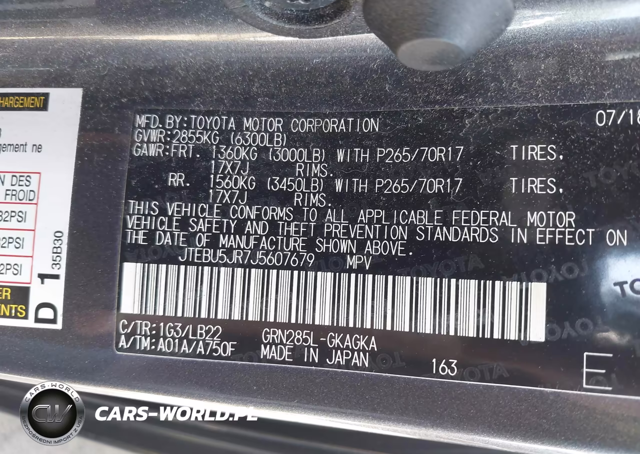 2018 Toyota 4Runner Sr5 Premium VIN:JTEBU5JR7J5607679 - 9