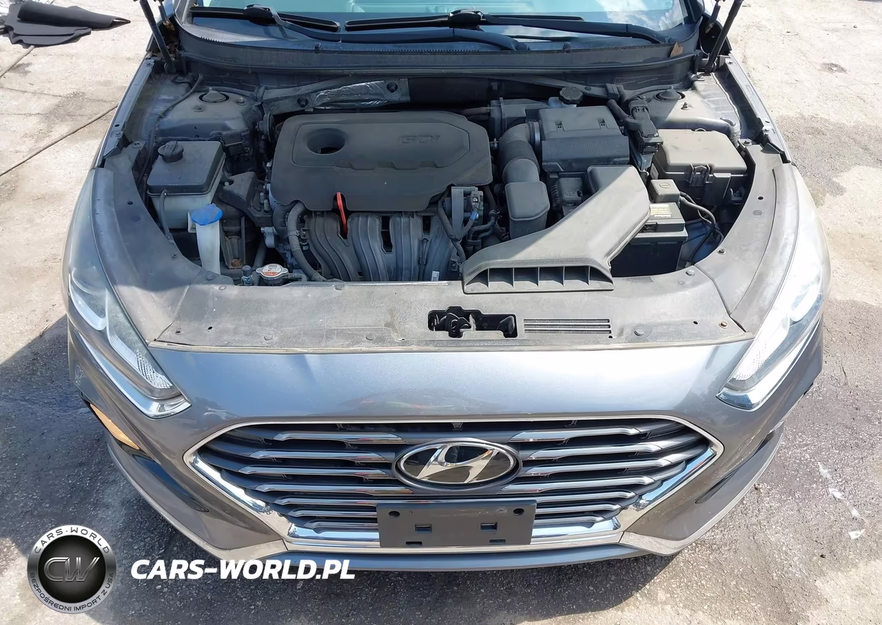 2018 Hyundai Sonata Se VIN:5NPE24AF2JH696309 - 10