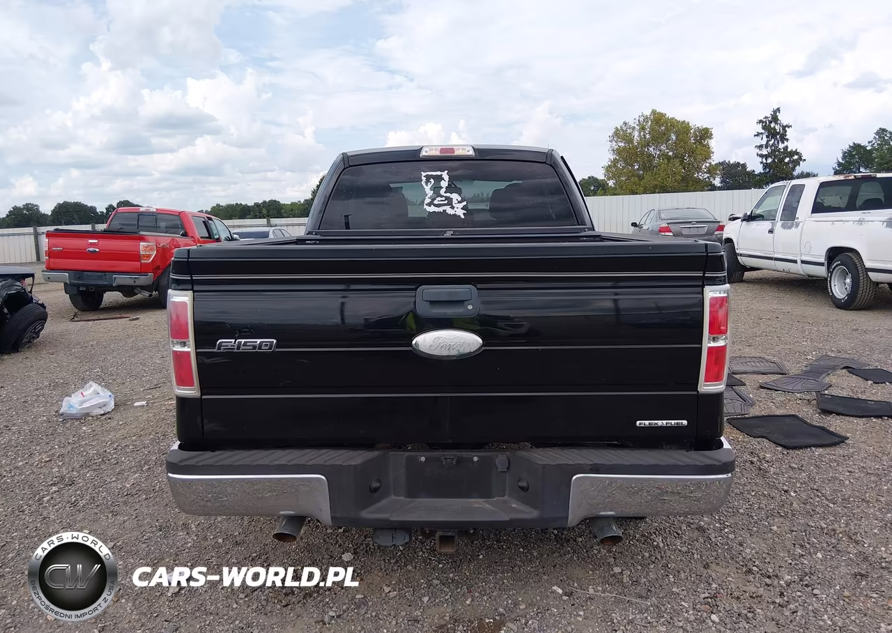 2011 Ford F-150 Xlt VIN:1FTEX1CM6BFC10270 - 16