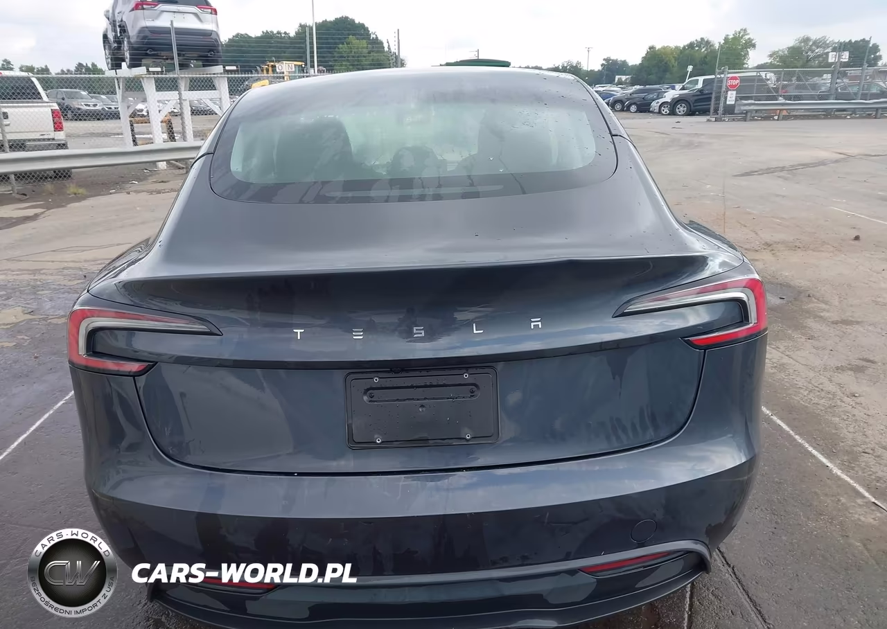 2025 Tesla Model 3 Long Range Rear-Wheel Drive-Standard Rear-Wheel Drive VIN:5YJ3E1EA4SF967978 - 16
