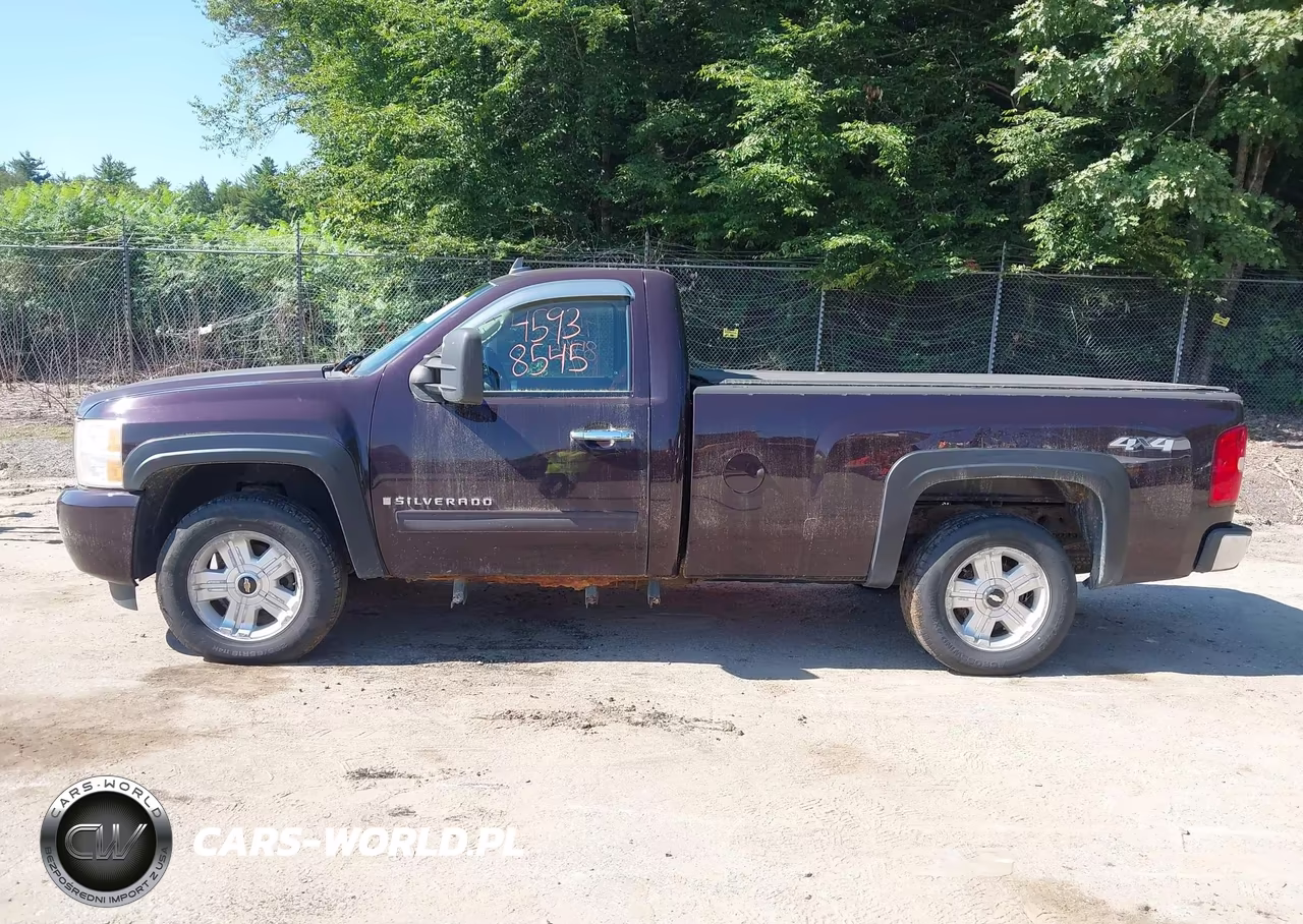 2009 Chevrolet Silverado 1500 Lt VIN:1GCEK24JX9Z189652 - 14