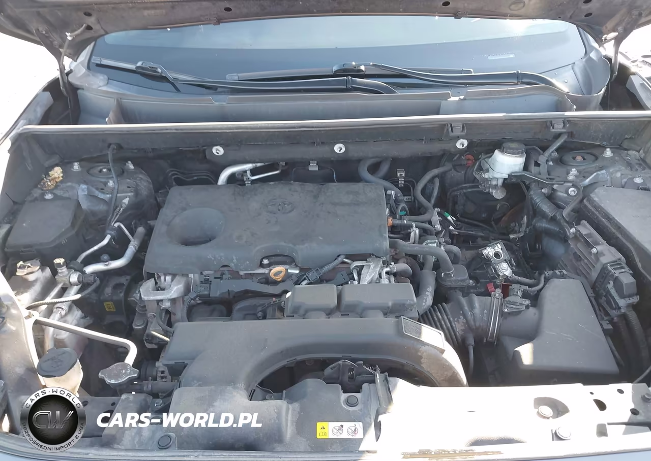 2020 Toyota Rav4 Xle VIN:2T3P1RFV3LW119499 - 10