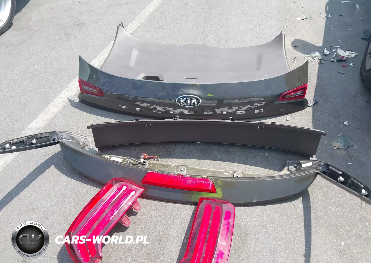 2021 Kia Telluride Sx VIN:5XYP5DHC7MG118472 - 12