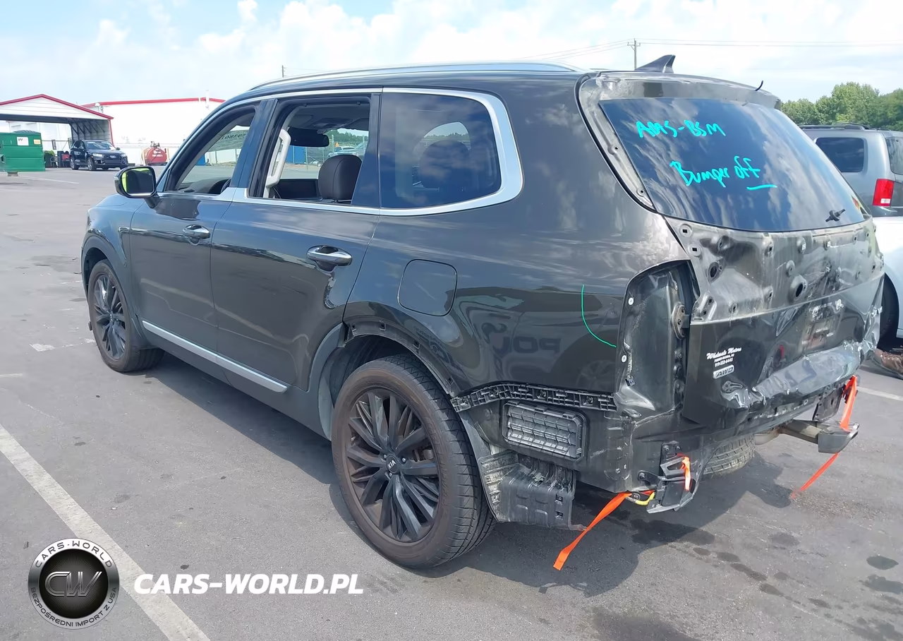 2021 Kia Telluride Sx VIN:5XYP5DHC7MG118472 - 3