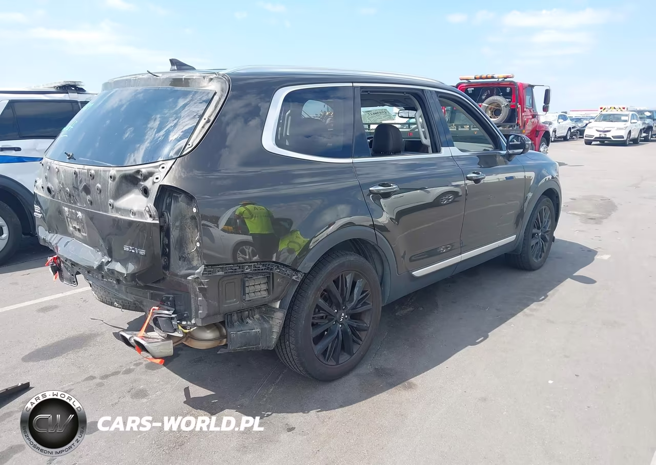 2021 Kia Telluride Sx VIN:5XYP5DHC7MG118472 - 4