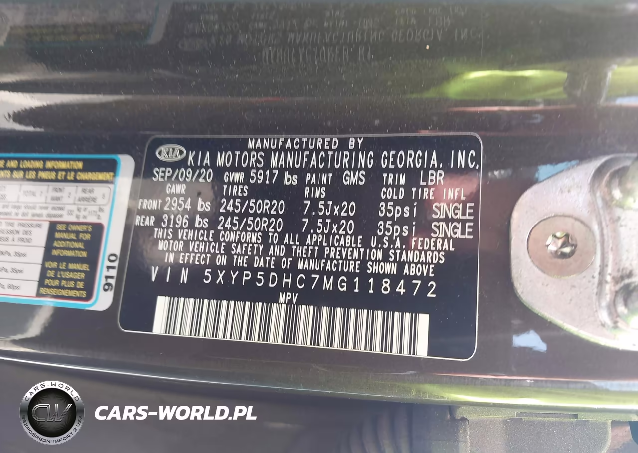 2021 Kia Telluride Sx VIN:5XYP5DHC7MG118472 - 9