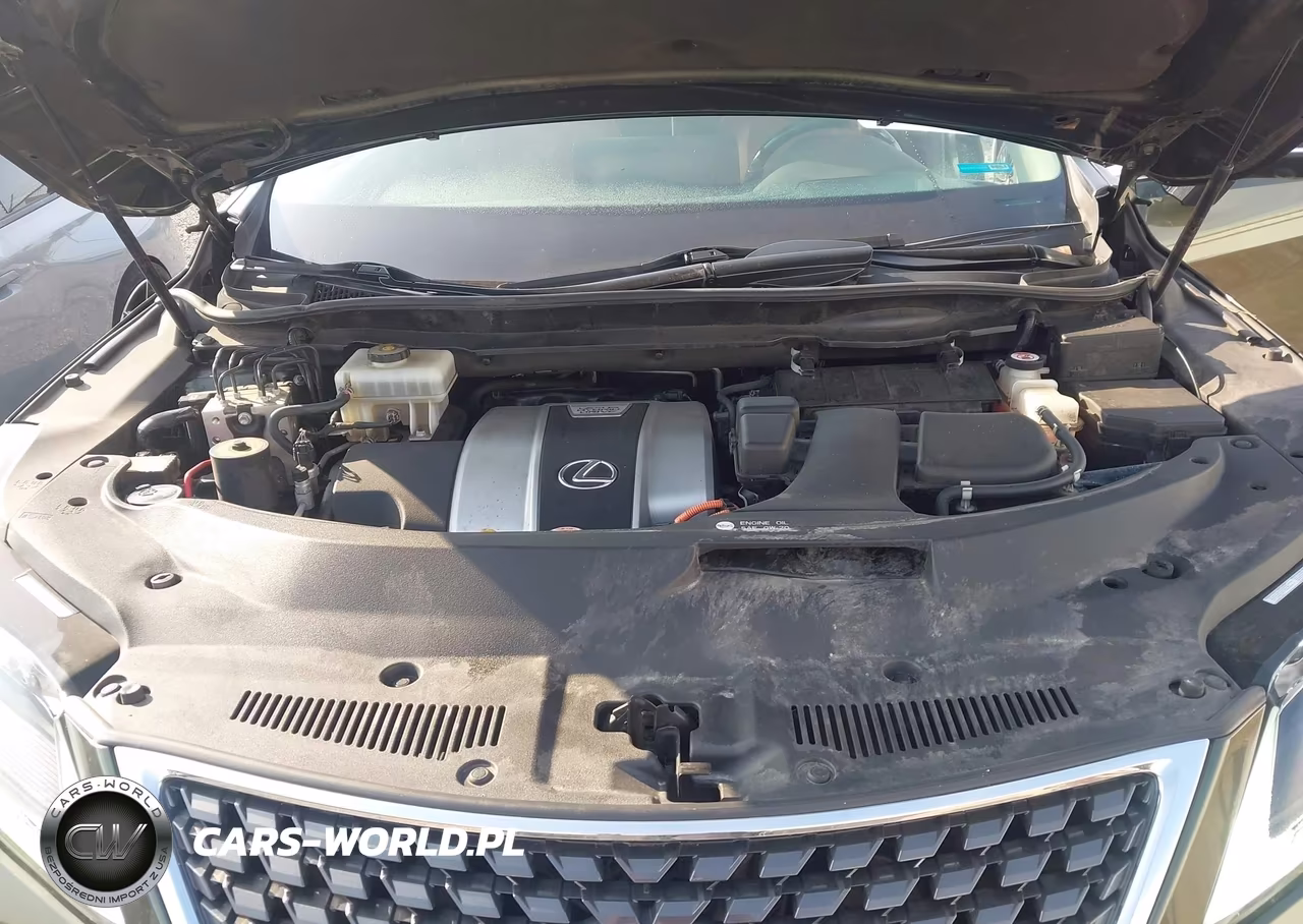 2021 Lexus Rx 450Hl Luxury VIN:JTJJGKFA6M2020191 - 10