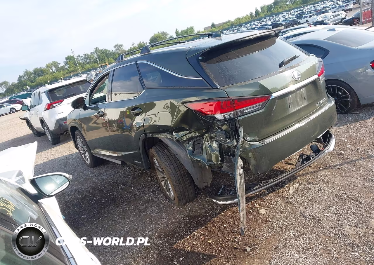 2021 Lexus Rx 450Hl Luxury VIN:JTJJGKFA6M2020191 - 3
