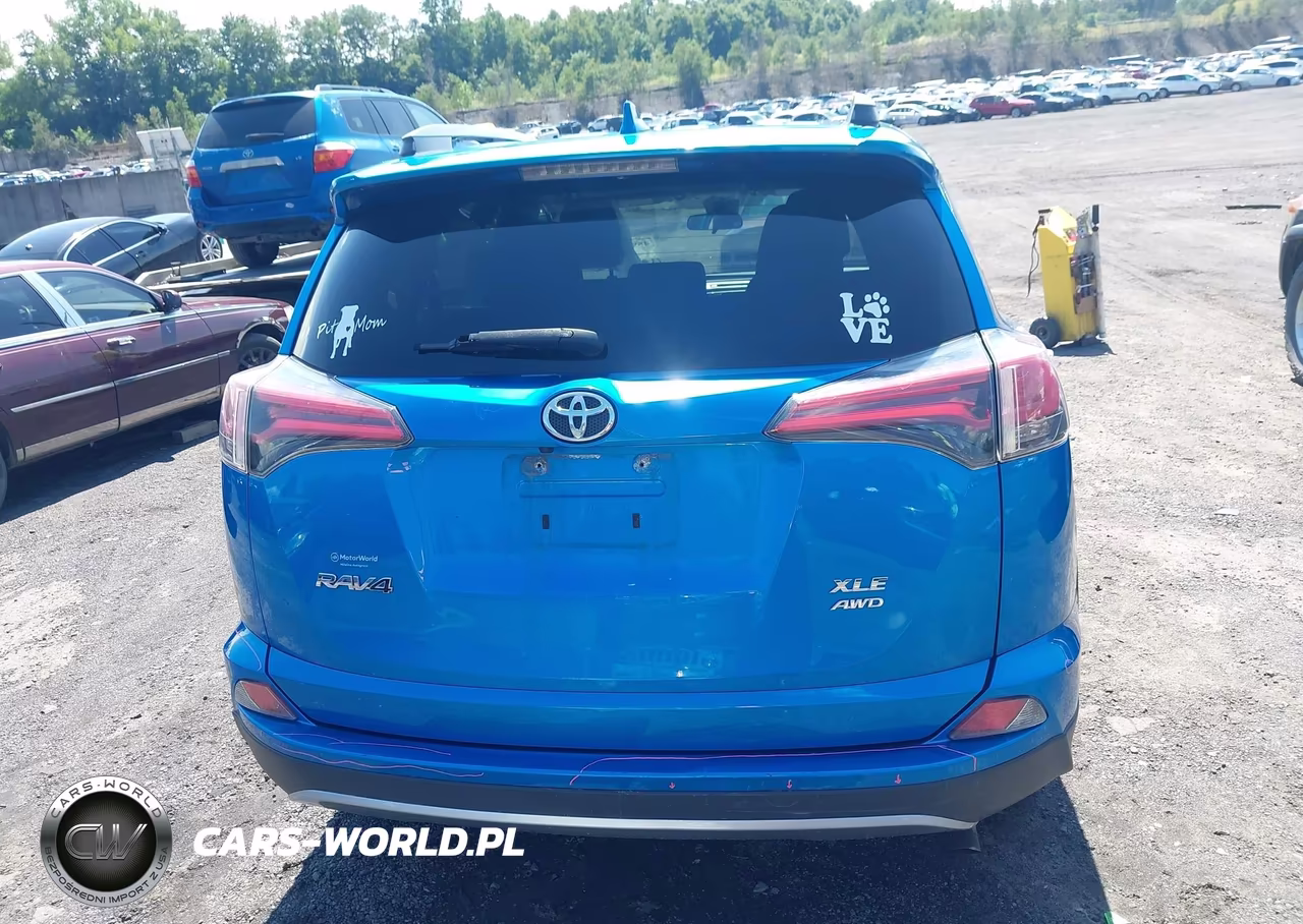 2017 Toyota Rav4 Xle VIN:2T3RFREV1HW679721 - 16