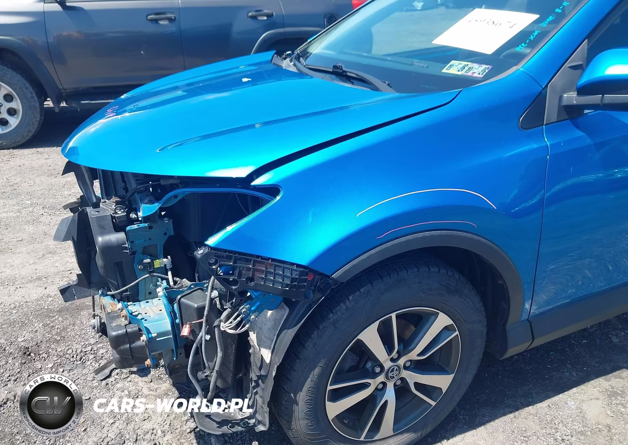 2017 Toyota Rav4 Xle VIN:2T3RFREV1HW679721 - 6