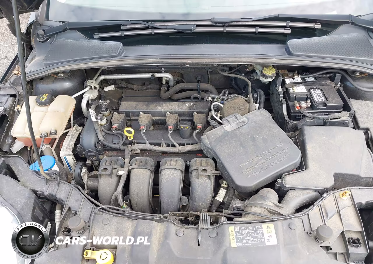 2014 Ford Focus Se VIN:1FADP3K24EL456740 - 10