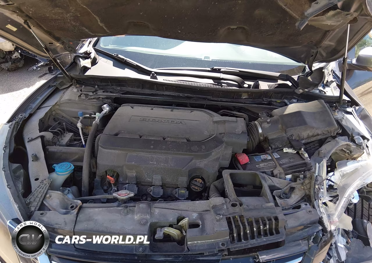 2014 Honda Accord Ex-L V-6 VIN:1HGCR3F81EA028314 - 10