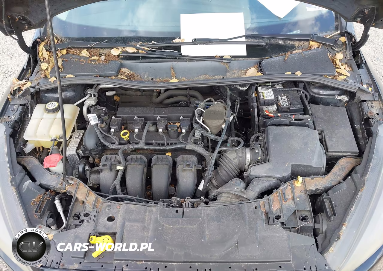 2016 Ford Focus Se VIN:1FADP3K20GL225630 - 10