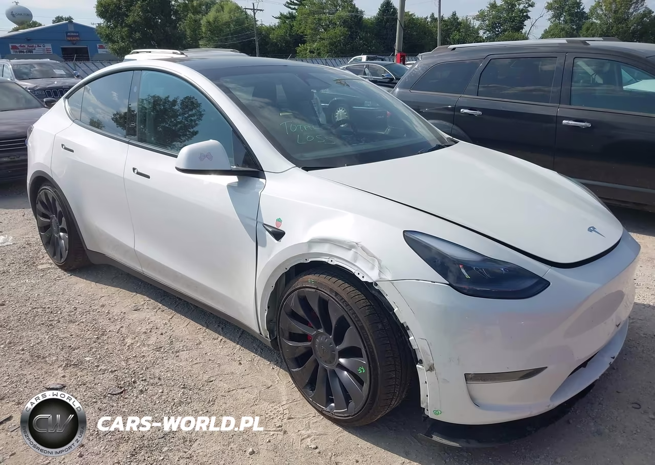 2023 Tesla Model Y Performance Dual Motor All-Wheel Drive VIN:7SAYGDEF2PF830724 - 1