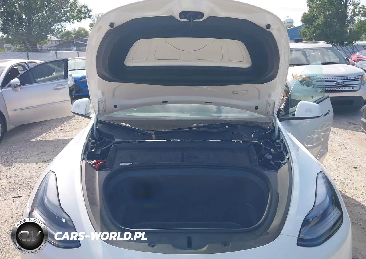 2023 Tesla Model Y Performance Dual Motor All-Wheel Drive VIN:7SAYGDEF2PF830724 - 10