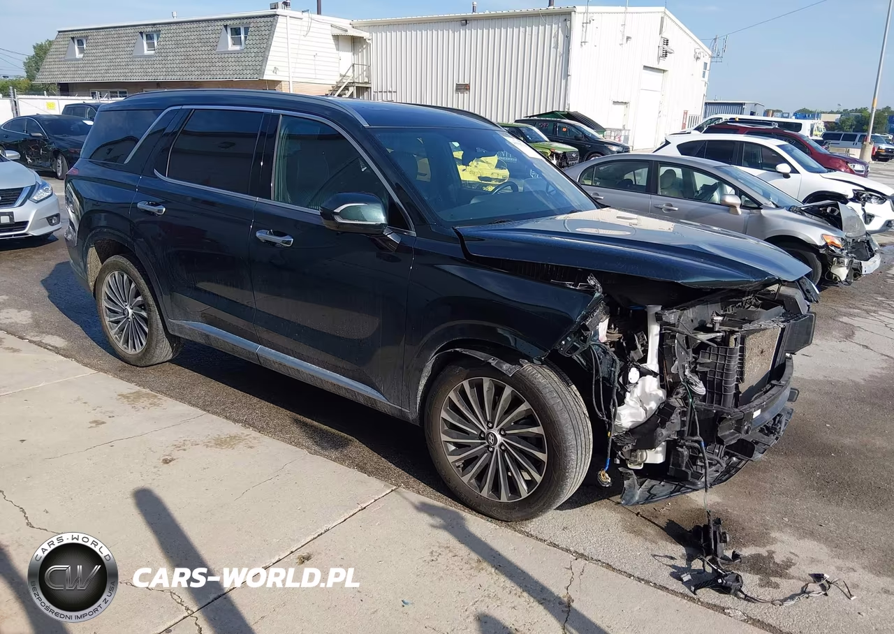 2023 Hyundai Palisade Calligraphy VIN:KM8R7DGE7PU591177 - 1