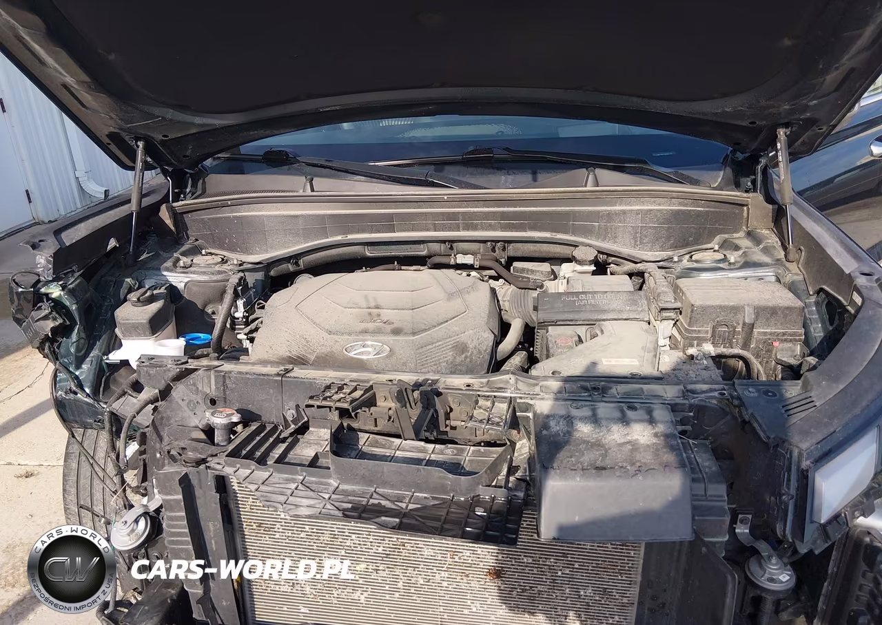 2023 Hyundai Palisade Calligraphy VIN:KM8R7DGE7PU591177 - 10