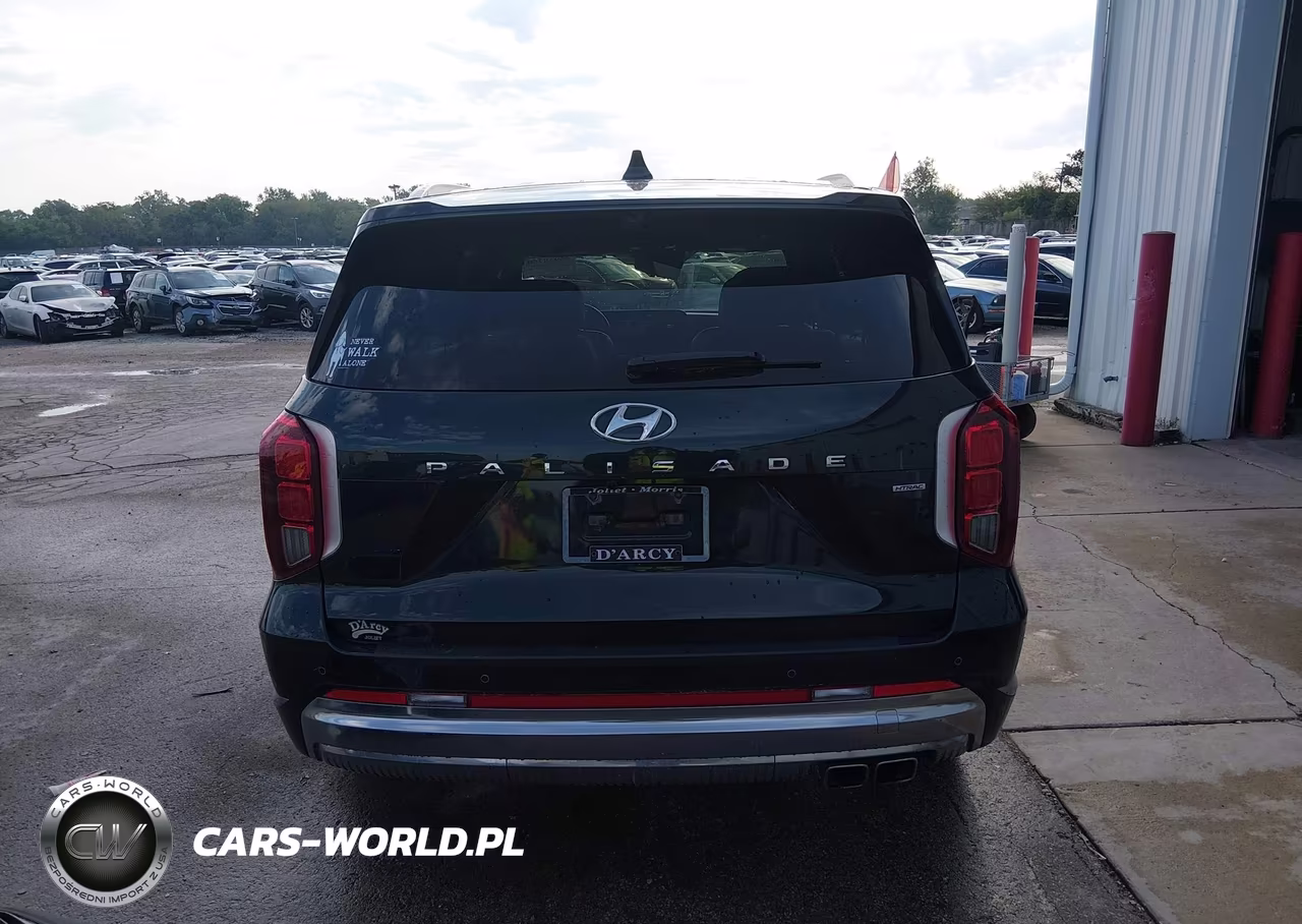 2023 Hyundai Palisade Calligraphy VIN:KM8R7DGE7PU591177 - 17